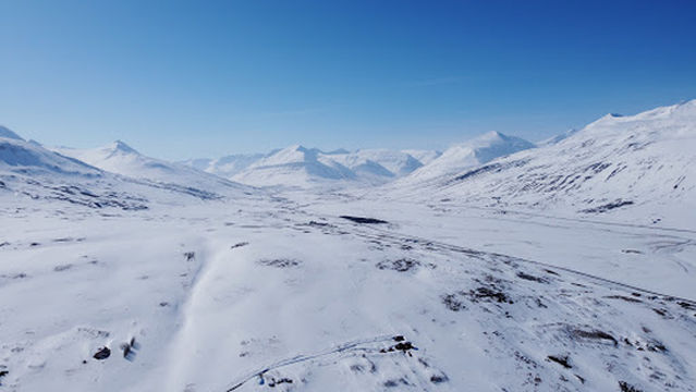 Hánefsstadaskógur Hengibrú