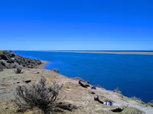 Lookout Penguins