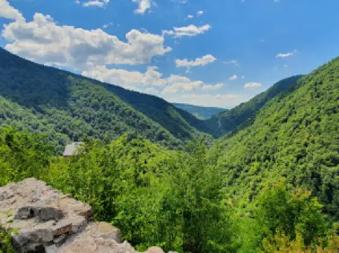 Kraljevski grad Bobovac