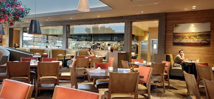 Seasons 52