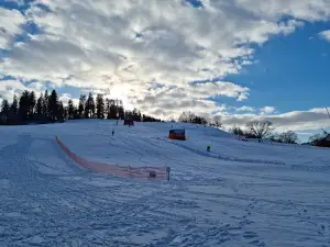 Max Wild Arena - Felderhalde Isny
