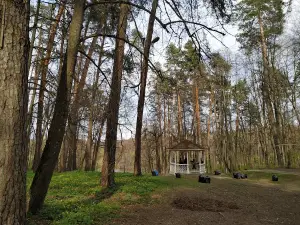 Pamyatnik A.s. Pushkinu