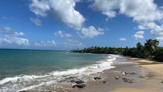 El Gallito ( Gringo Beach )