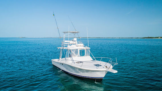 Aqua Shores - Luxury Powerboat Tours Bahamas