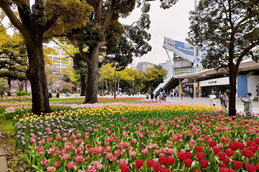 橫濱公園