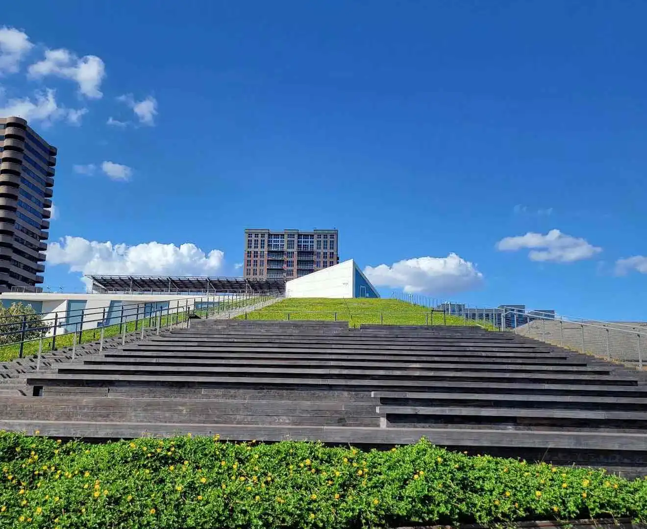 Hotels near The Museum of Fine Arts, Houston