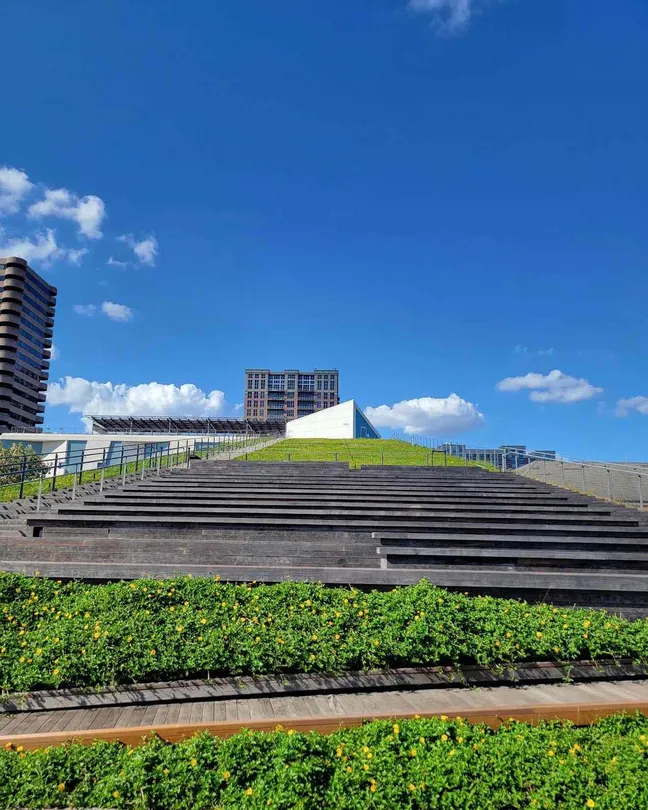 2_The Museum of Fine Arts, Houston