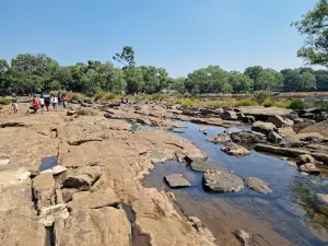 Dubare Elephant Bathing Spot