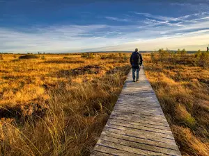 Parc naturel Hautes Fagnes - Eifel