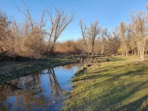 Misʹkyy Sad Kropyvnytskyi