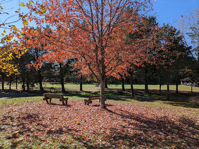 Claude Moore Park Visitor Center