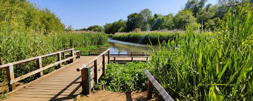 Fleet Pond Nature Reserve