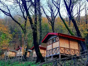 Dornika Coastal Forest Park
