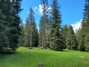 Camping Saignelegier