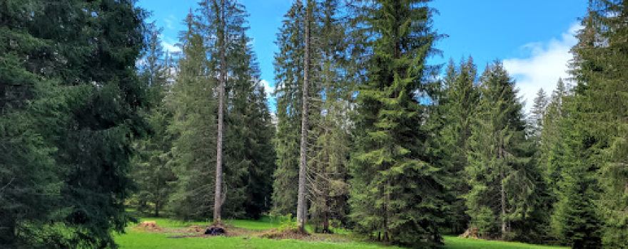 Camping Saignelegier