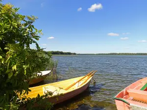 Park w Dąbrównie