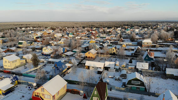 Surgutsky District