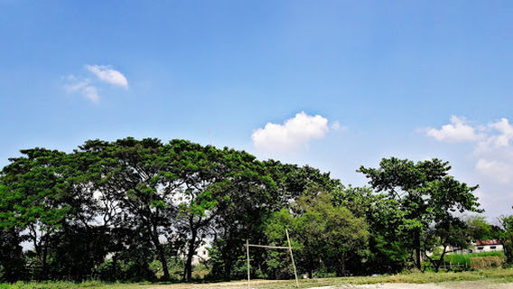 BJC Field