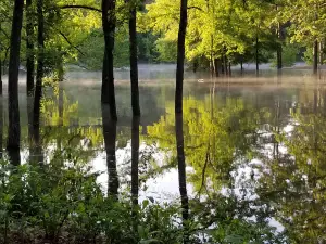 Quarry Cove Park