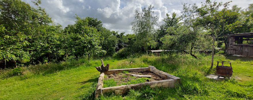 Mill Valley Yurts