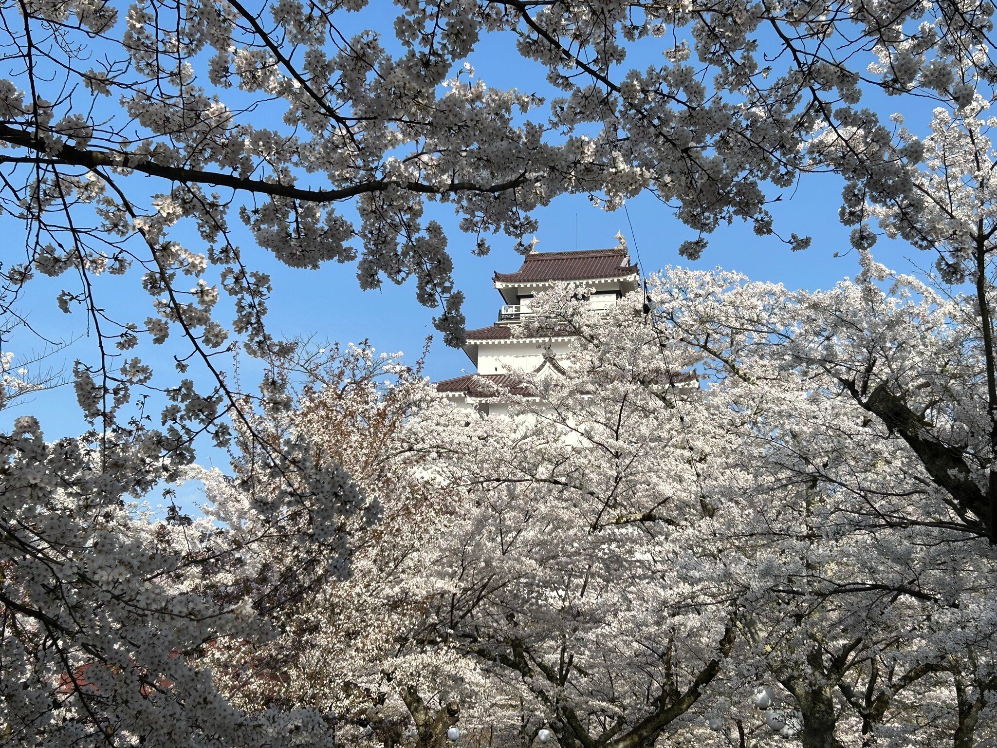 福島 鶴ヶ城 入場Eチケット 予約