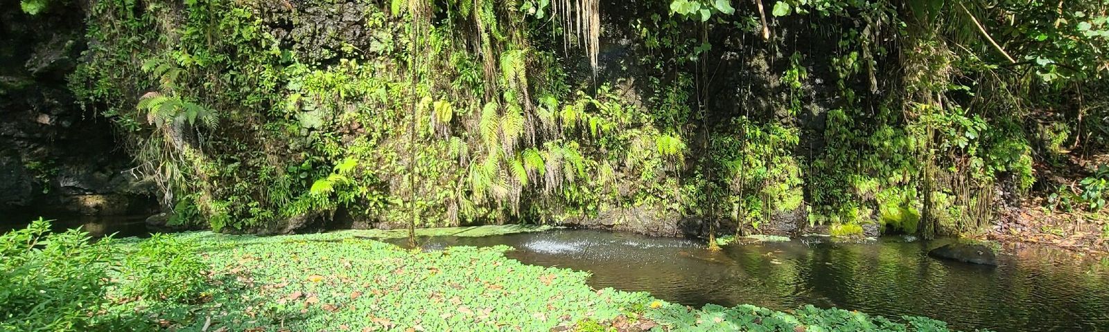 PaeaWater activities