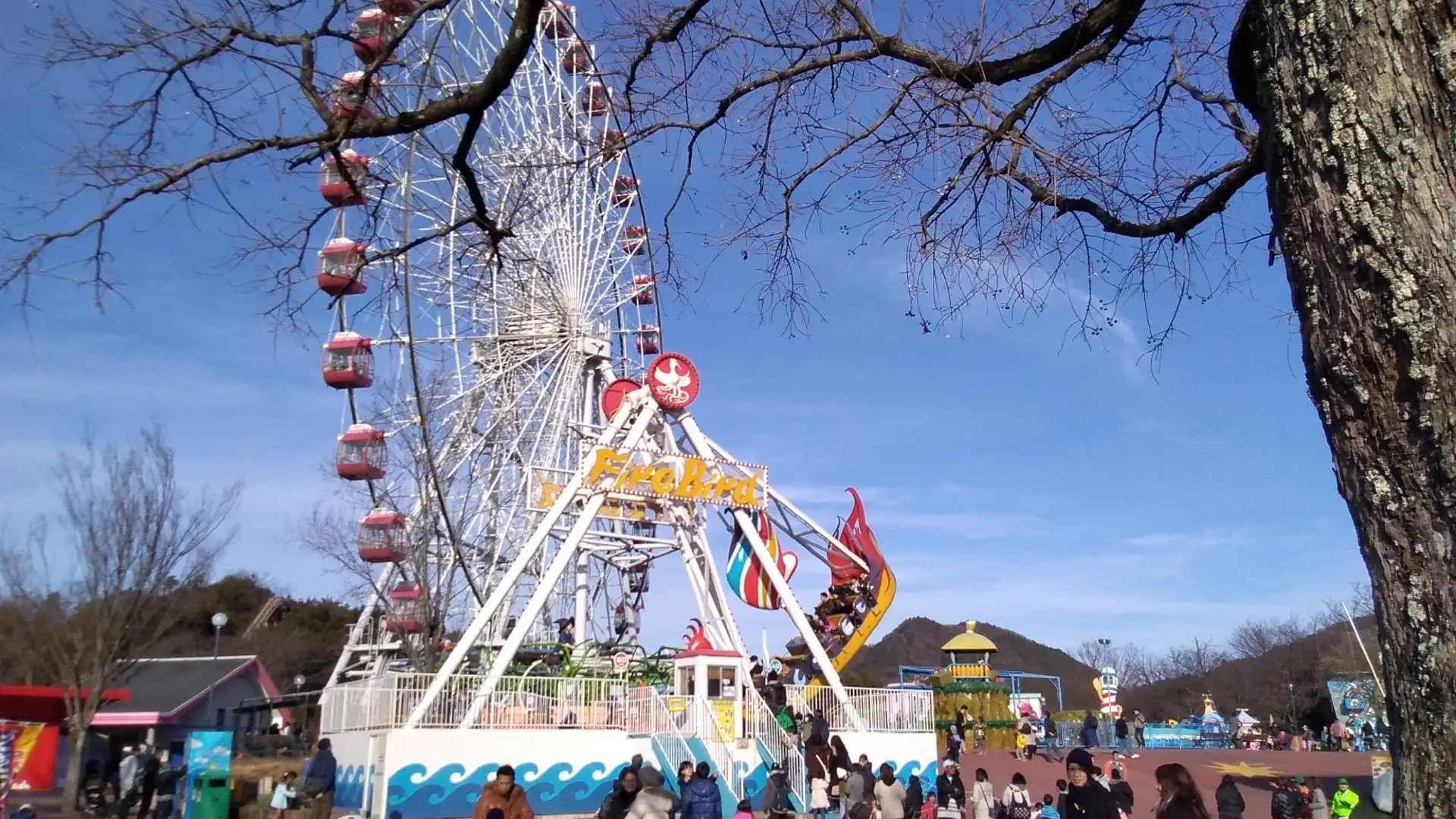 鄰近猿猴主題樂園的酒店