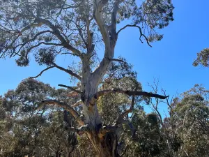 Urimbirra Wildlife Park