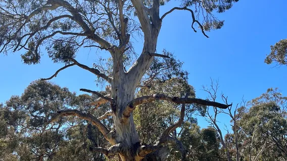 Urimbirra Wildlife Park