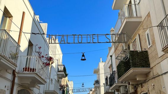 Statua di Domenico Modugno