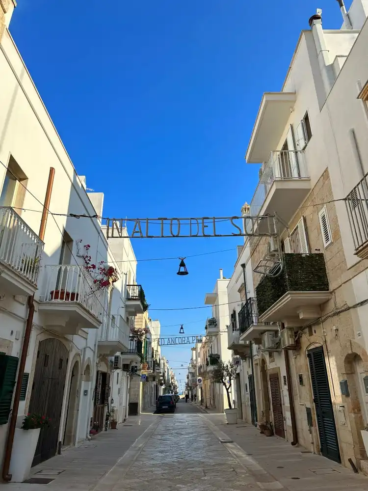 Hotels in Polignano a mare