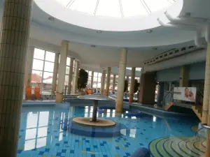 Thermal park Dunajska Streda