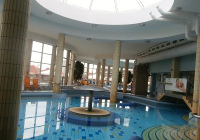 Thermal park Dunajska Streda