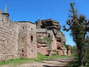 Burg Hohbarr
