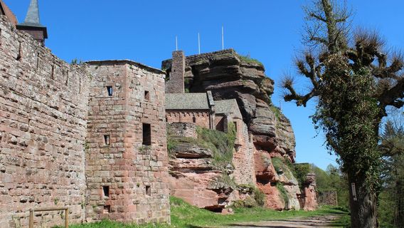 Chateau du Haut-Barr