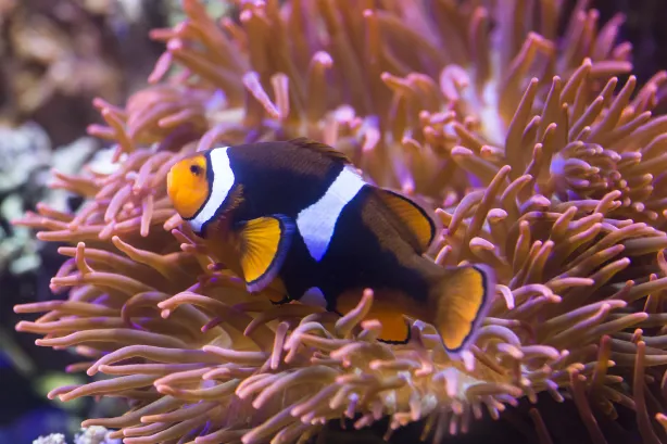 SEA LIFE Oberhausen