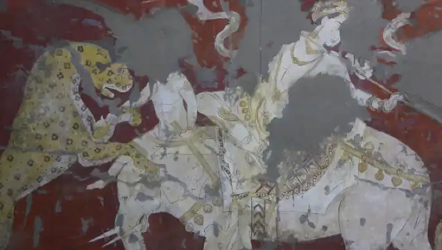 All kinds of translators, Guide , chartered private charter, photographers, business escorts, medical accompaniment, travel guides, customization in Uzbekistan