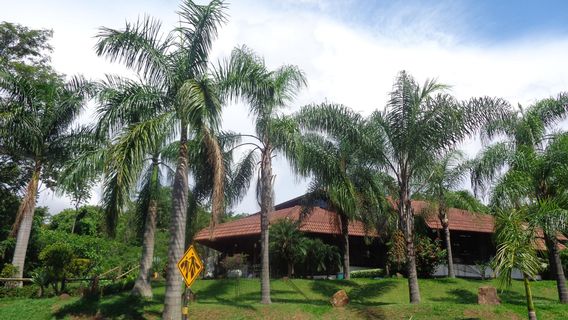 Parque Municipal Victório Siquieroli