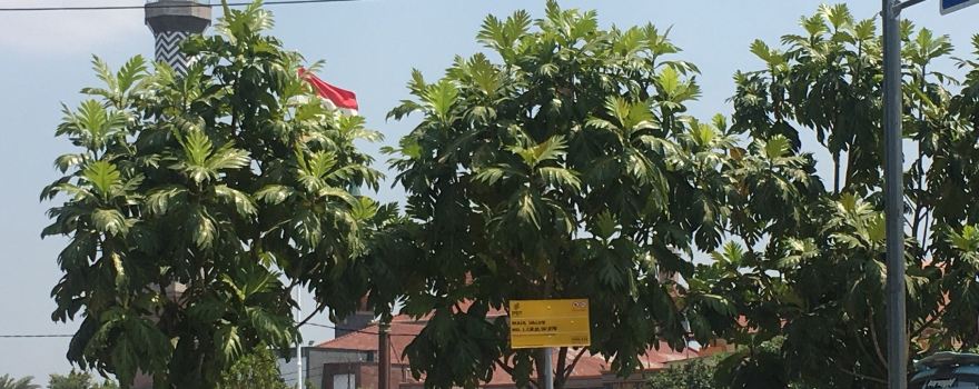 Alun Alun Kejaksan Cirebon