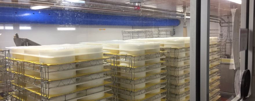 Alp & Dell Cheese Store