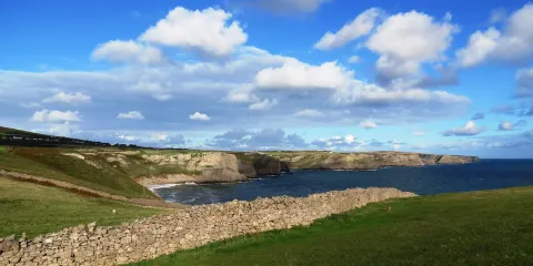 Fall Bay