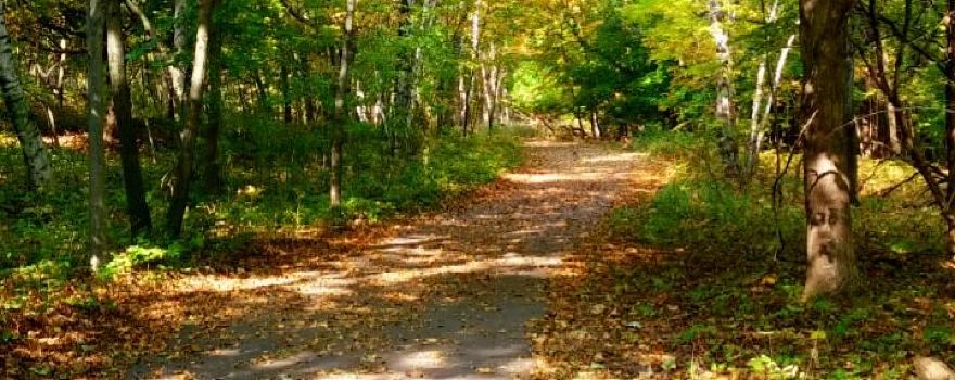 Parc d'État de Frontenac