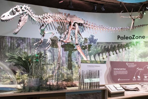 Delaware Museum of Nature & Science