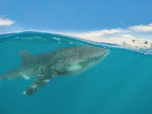 Tierra Sagrada - Cabo Adventures