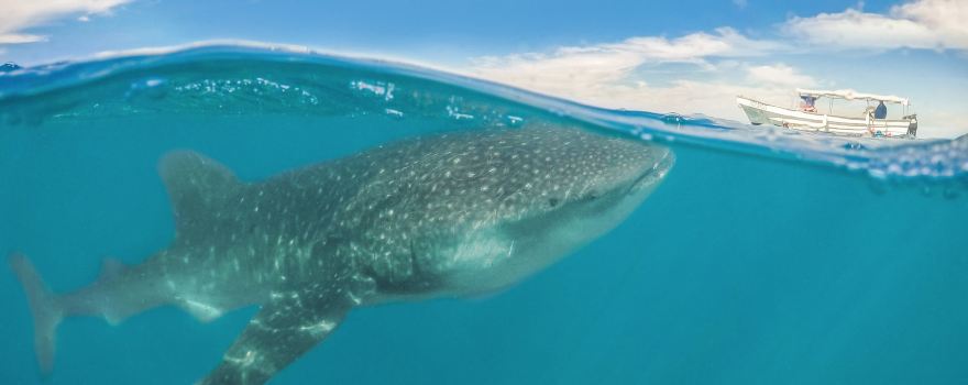 Tierra Sagrada - Cabo Adventures