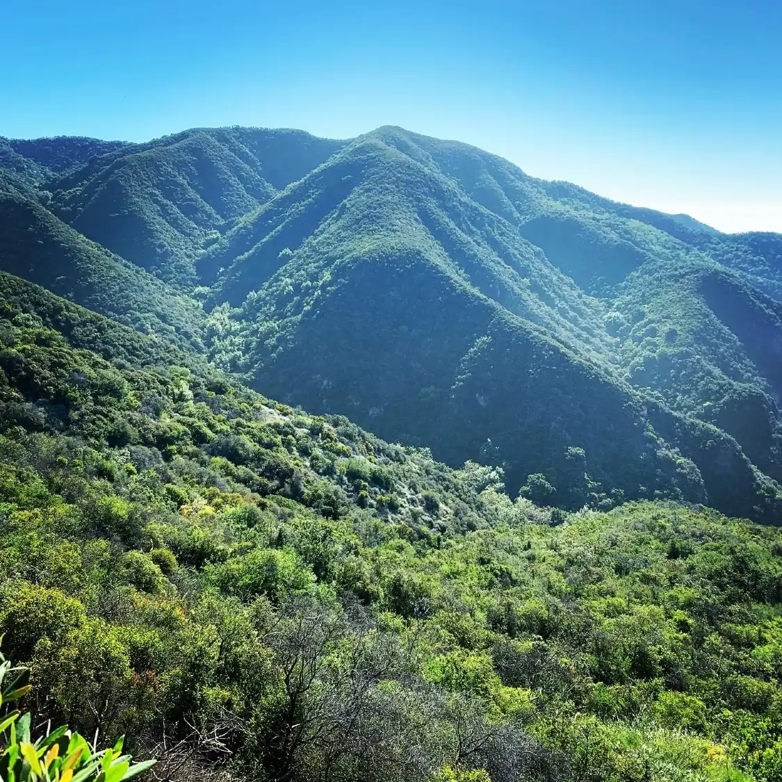 테메스컬 게이트웨이 공원 주변 호텔