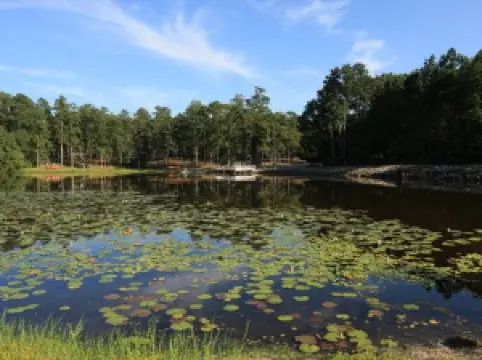 마그놀리아 스프링스 주립공원
