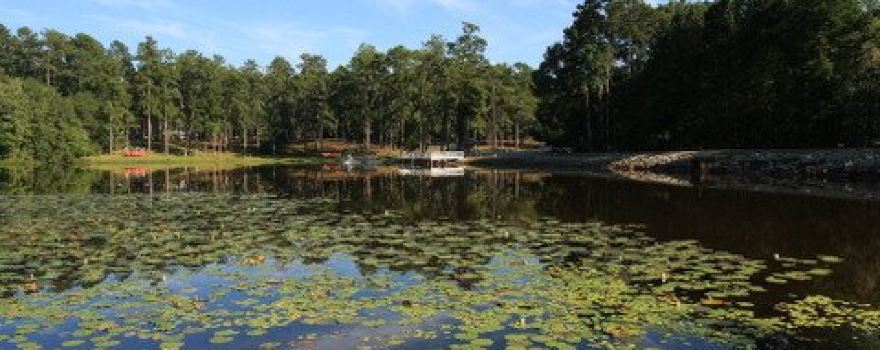 Magnolia Springs State Park