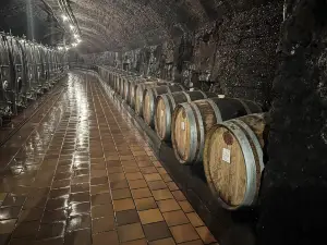 Caves St Martin SA
