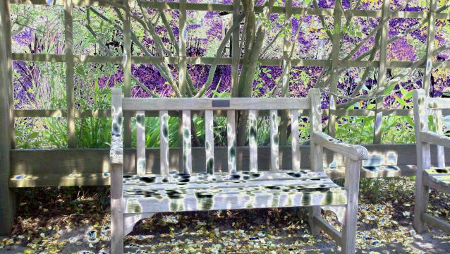 Sandhills Horticultural Gardens